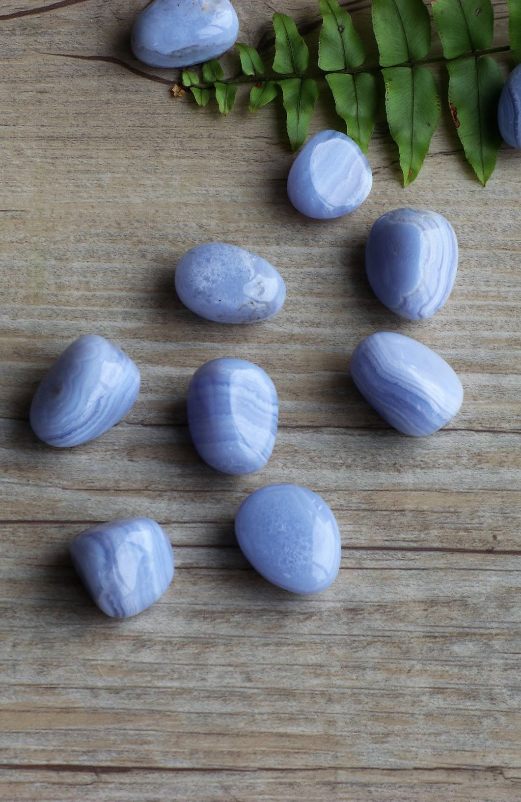Blue Lace Agate Tumbled Stone